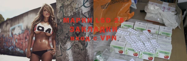 индика Магас