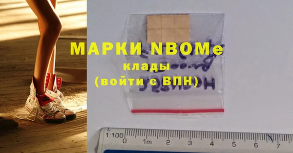 индика Магас