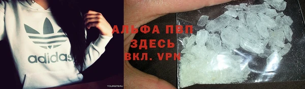 твердый Магадан
