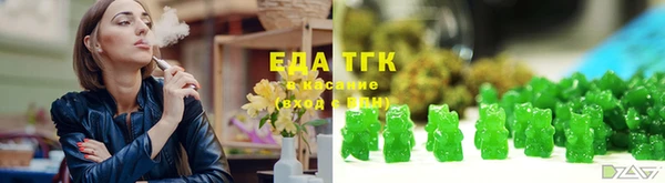 индика Магас