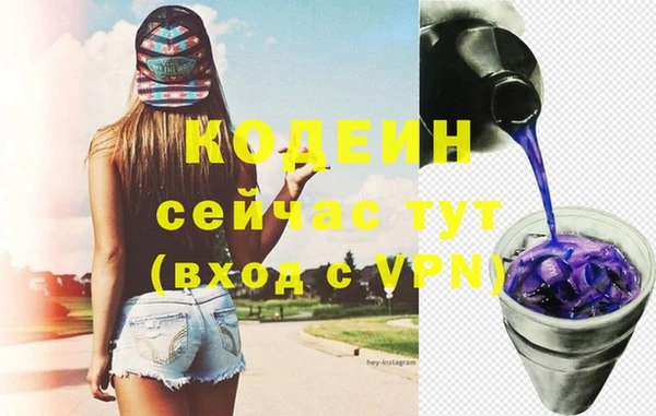 индика Магас