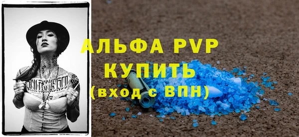 индика Магас