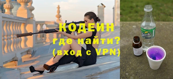 индика Магас