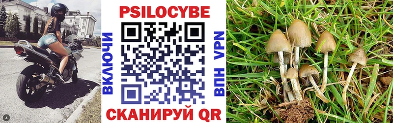 blacksprut ссылки  купить закладку  Нолинск  Галлюциногенные грибы MAGIC MUSHROOMS 