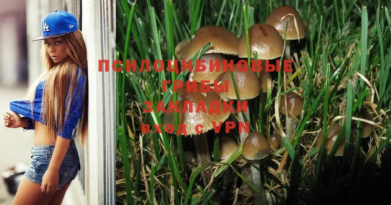 Псилоцибиновые грибы MAGIC MUSHROOMS  Нолинск 